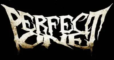 logo Perfect One logo Perfect One